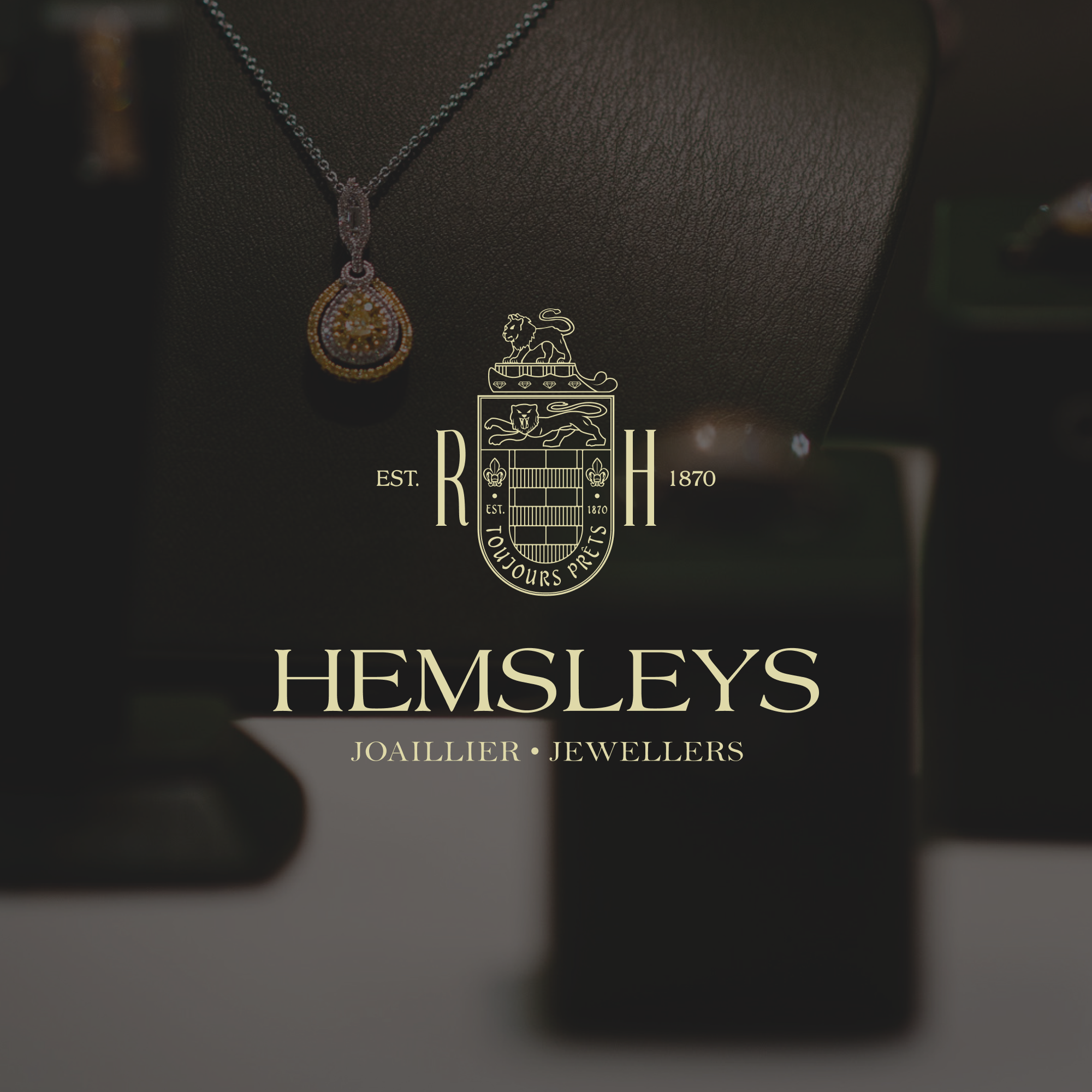 Example of Brand Identity Design